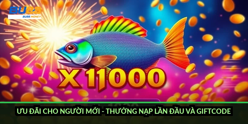 Khuyến mãi BU88 2026: đủ gói ưu đãi theo sản phẩm và cách nhận 2 Ưu đãi cho người mới - thưởng nạp lần đầu và giftcode